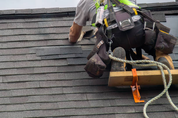 Best Roof Gutter Cleaning  in Mitchell, IL