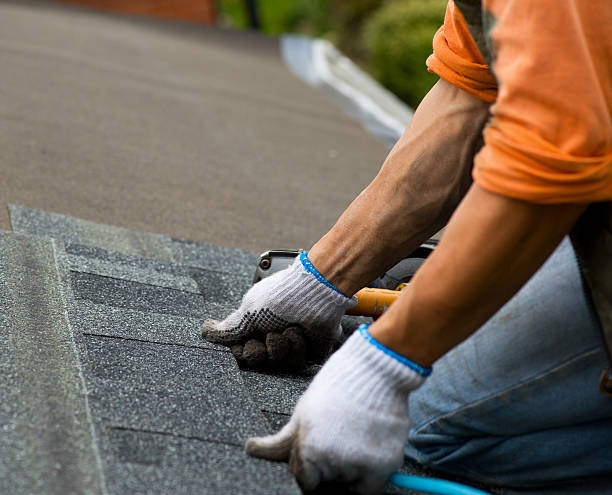 Best Roof Repair Services  in Mitchell, IL